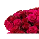 Kytice ekvádorských růží 80 cm